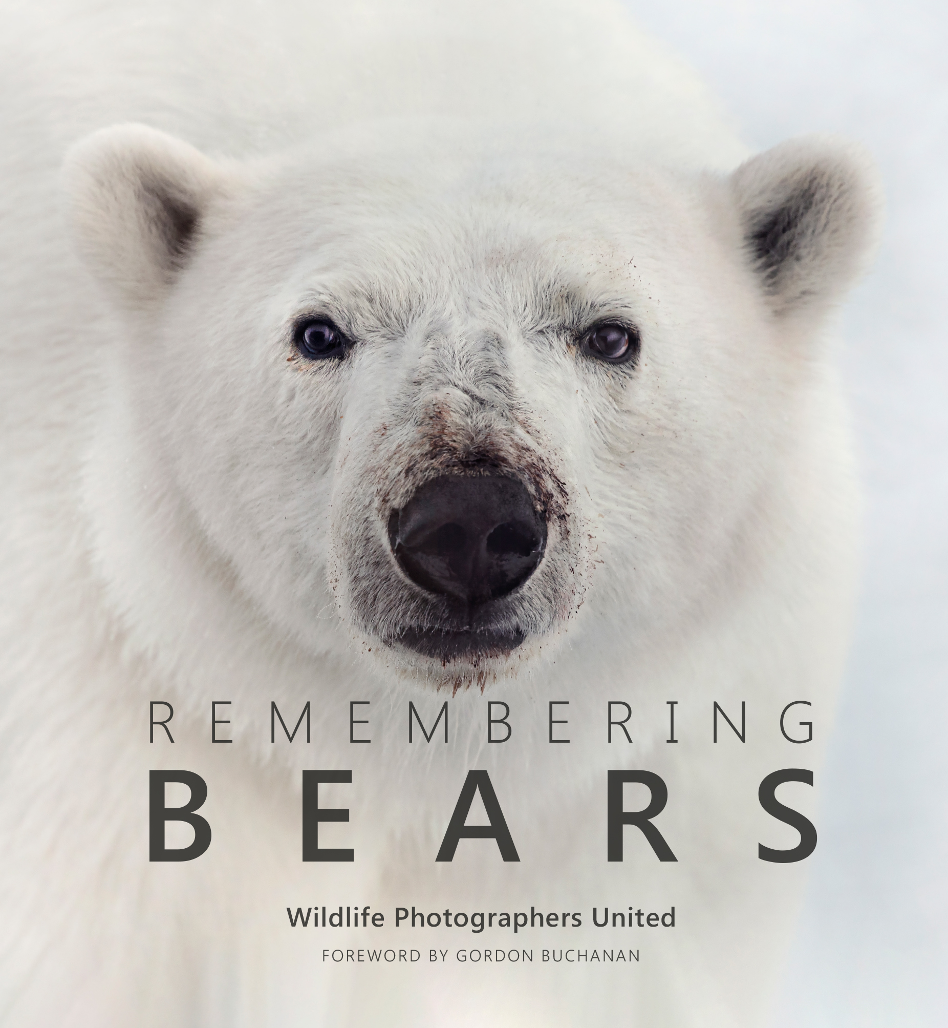 Remembering Bears